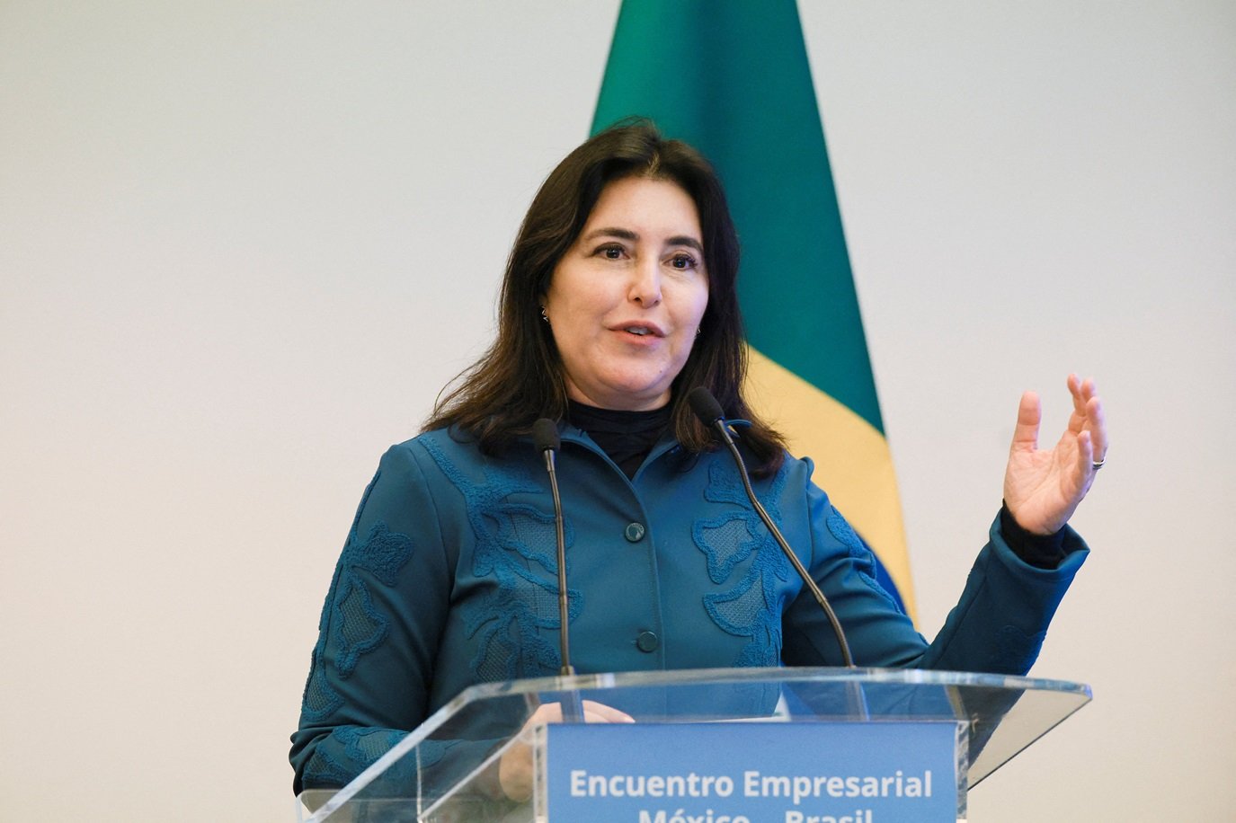 Ministra do Planejamento e Orçamento, Simone Tebet 27/08/2025 REUTERS/Henry Romero