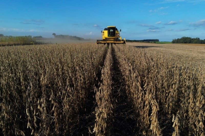Imagem de drone mostra trabalhador rural operando colheitadeira durante a temporada de colheita d...