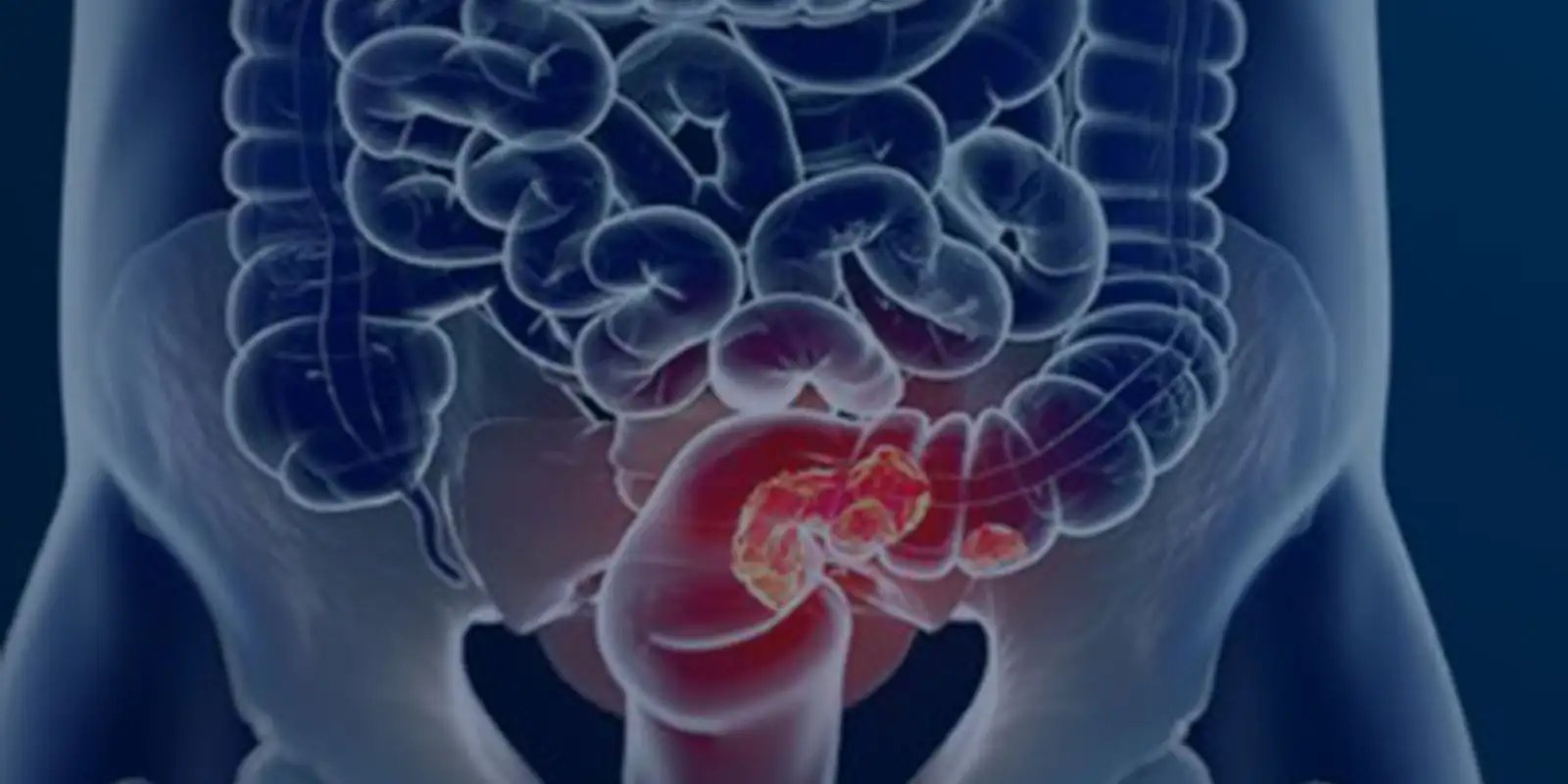 © Câmara Municipal de Afonso Claudio/Divulgação