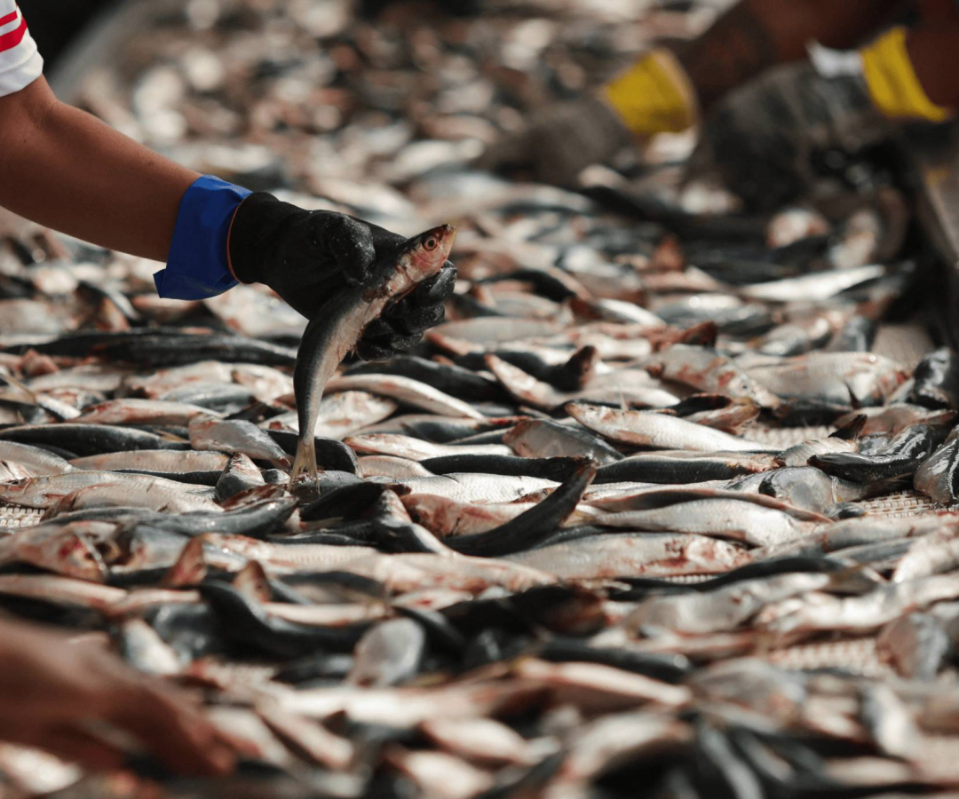 Ricardo Moraes / Reuters