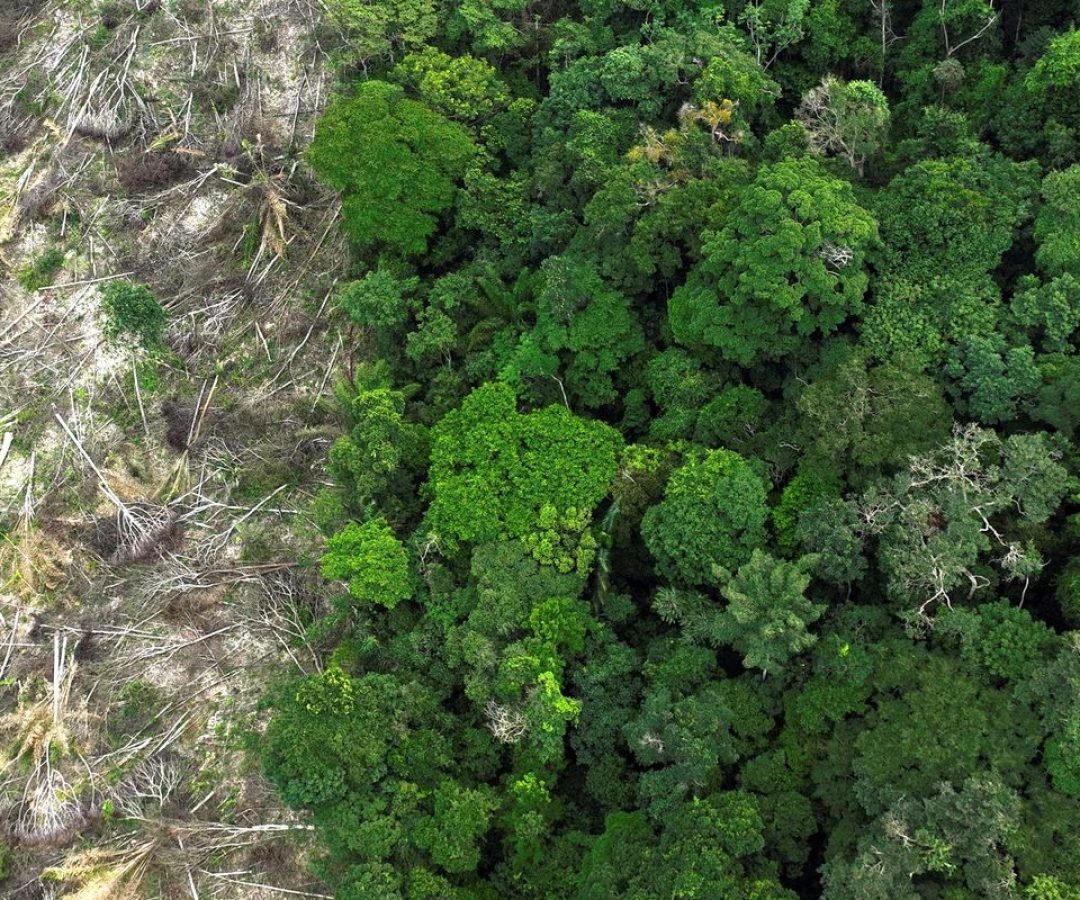 © Reuters/Ueslei Marcelino