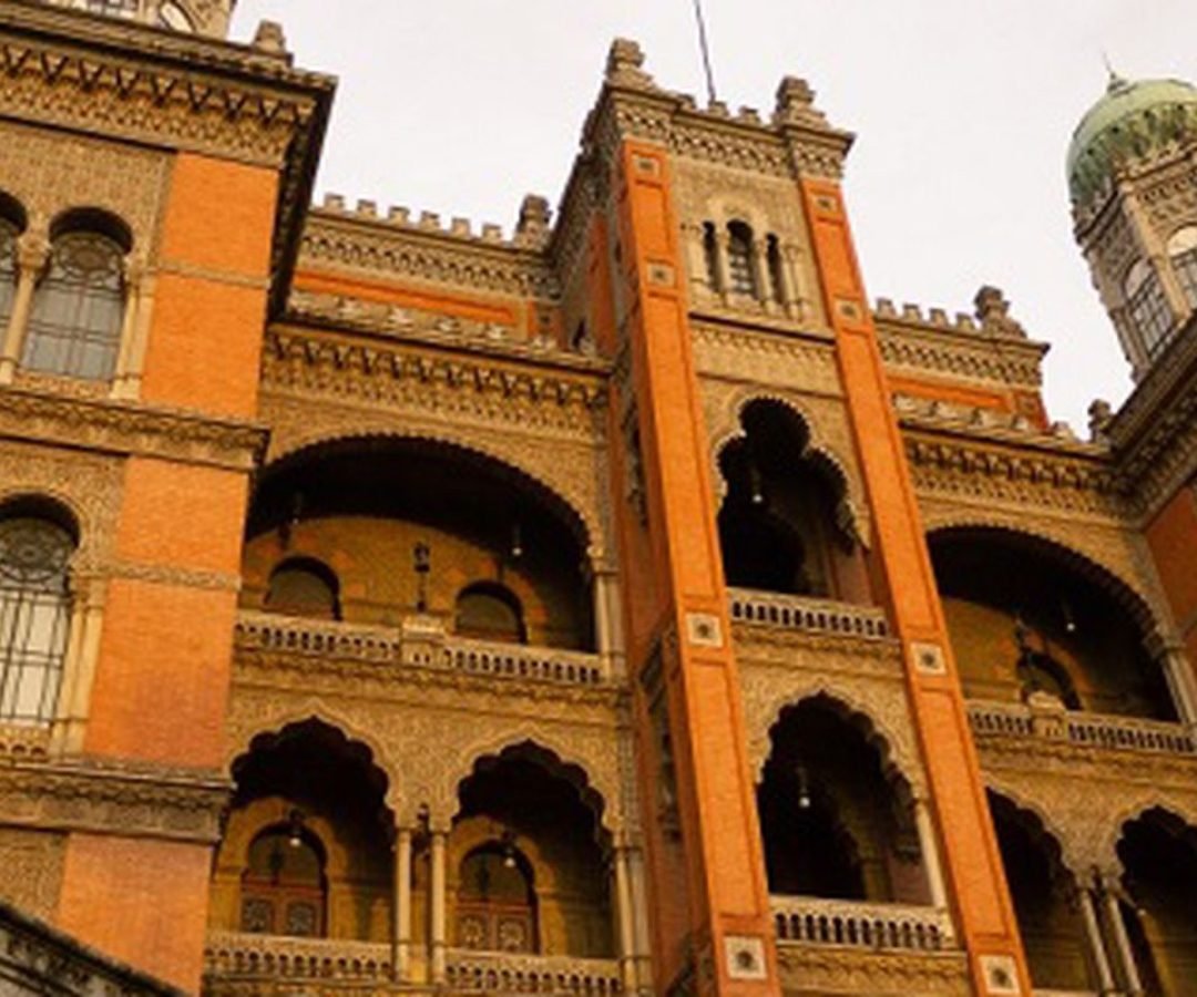 © Rodrigo Méxas/Fiocruz