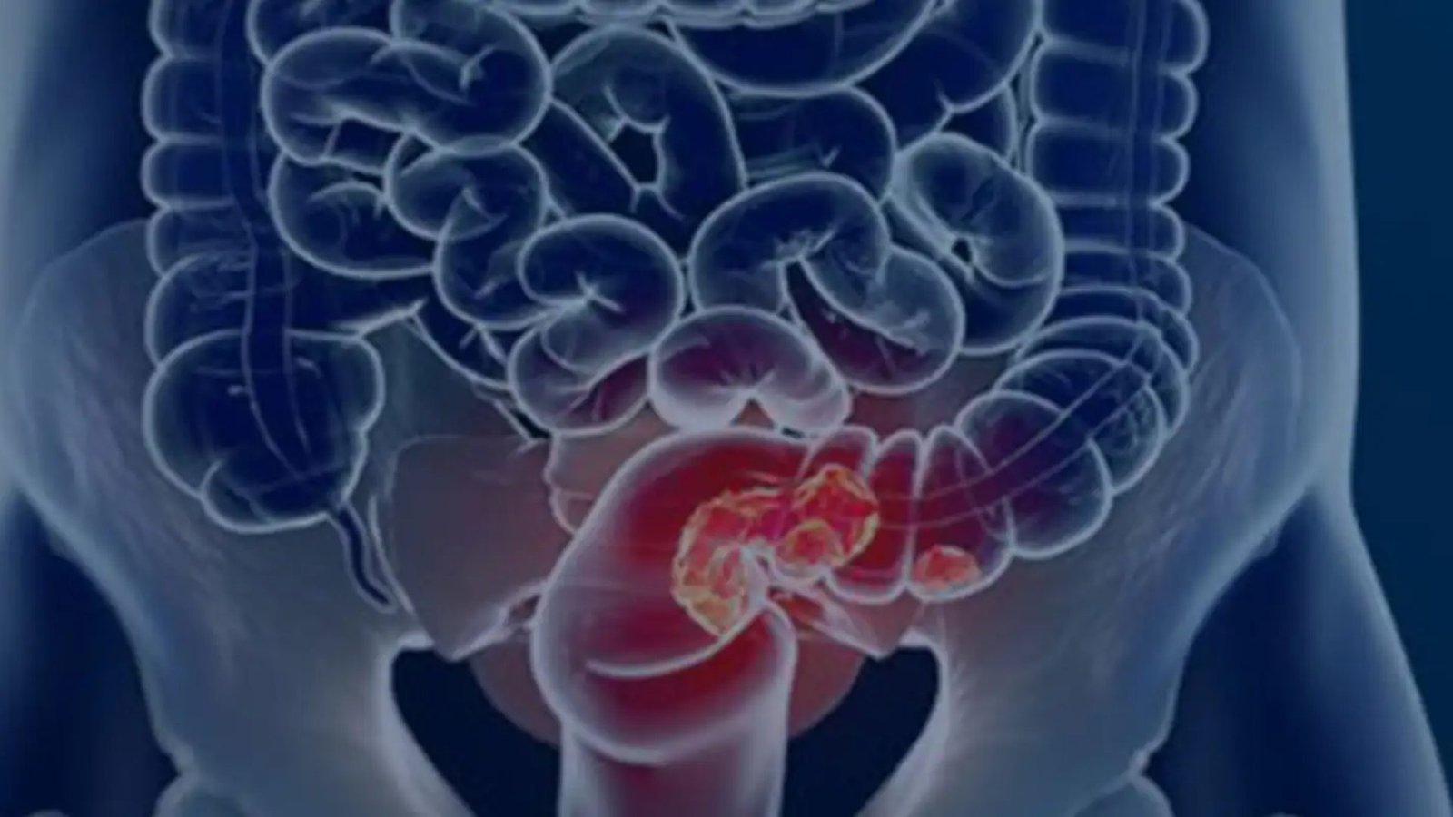 © Câmara Municipal de Afonso Claudio/Divulgação