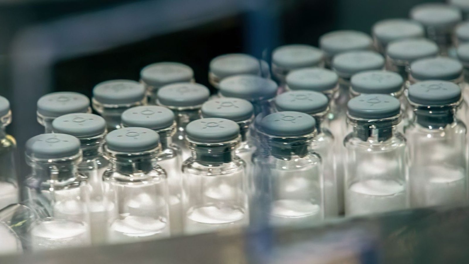 © Butantan/Divulgação