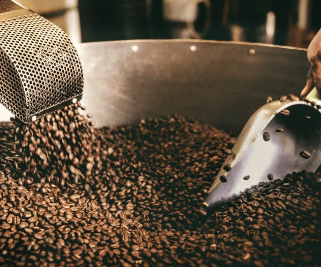 wp-header-logo-646.png